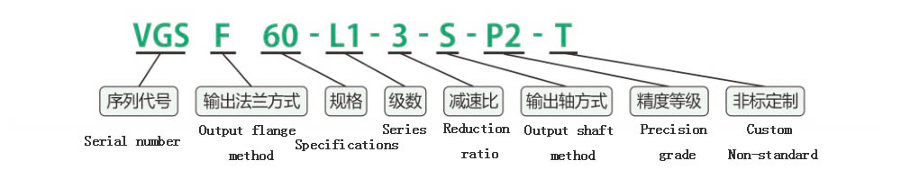 planetary reducer model description VGSF60