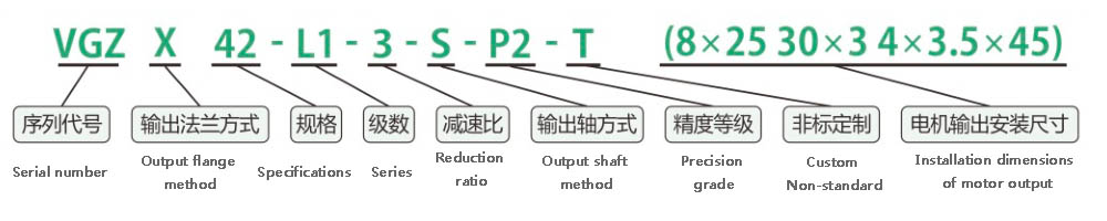 planetary reducer model description VGZX42