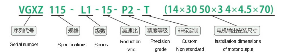 Reducer Model Description VGXZ115