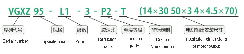 Reducer Model Description VGXZ95